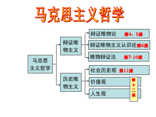 高中政治必修四：11.1社会发展的规律