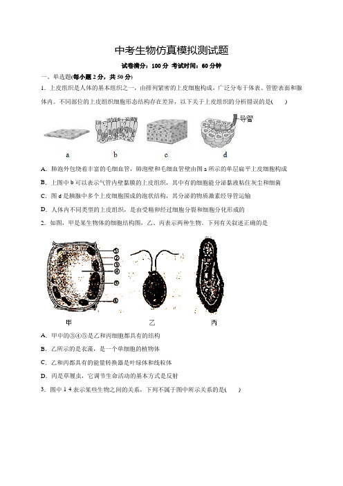 生物中考仿真模拟考试(带答案解析)