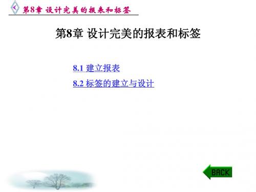 VFP程序设计简明教程 鲁俊生第8章 设计完美的报表和标签