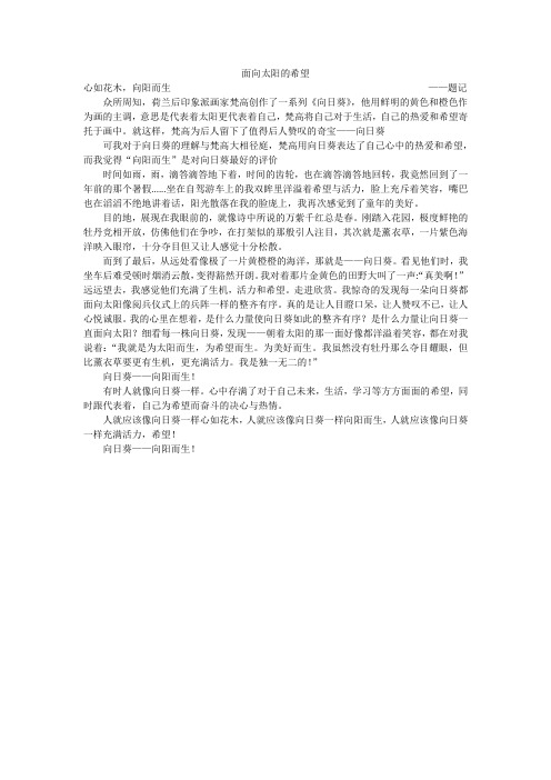 面向太阳的希望——向日葵