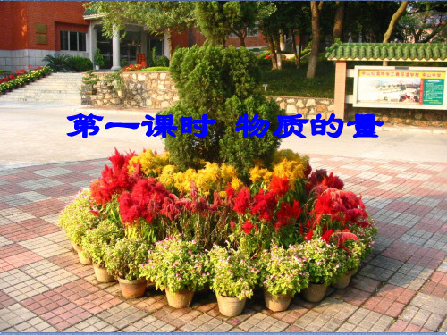 人教版高一化学必修一第一章第二节物质的量课件