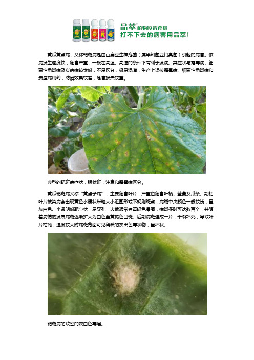 黄瓜黄点病(靶斑病)用什么药