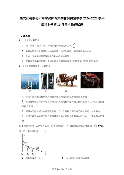 黑龙江省绥化市哈尔滨师范大学青冈实验中学2024-2025学年高三上学期10月月考物理试题