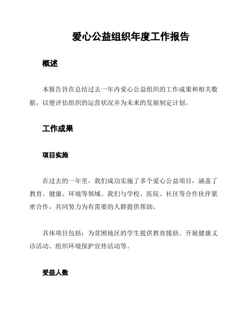 爱心公益组织年度工作报告