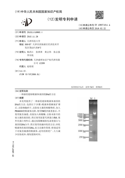 一种新的提取噬菌体基因组DNA的方法[发明专利]