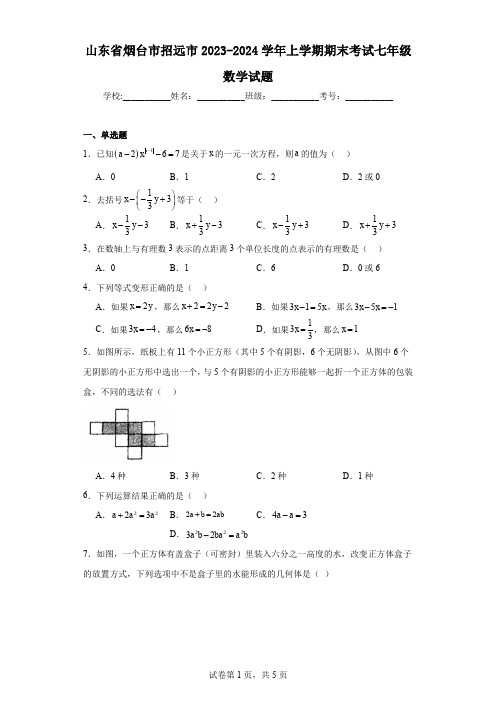 山东省烟台市招远市2023-2024学年上学期期末考试七年级数学试题