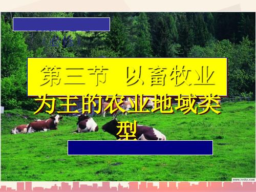 高中地理--以畜牧业为主的农业地域类型(ppt 33页)
