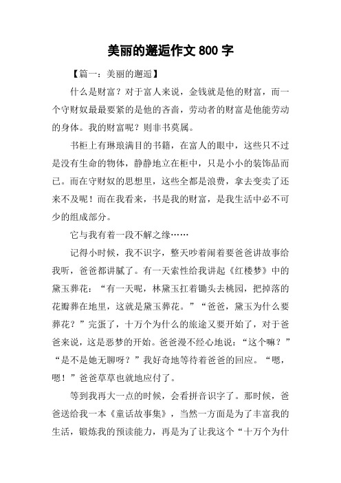 美丽的邂逅作文800字