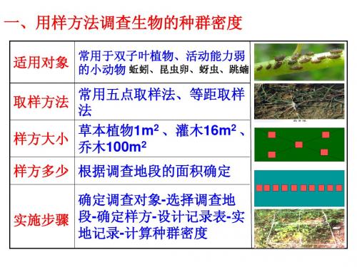 种群的特征及数量变化