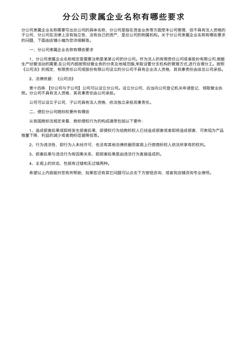 分公司隶属企业名称有哪些要求