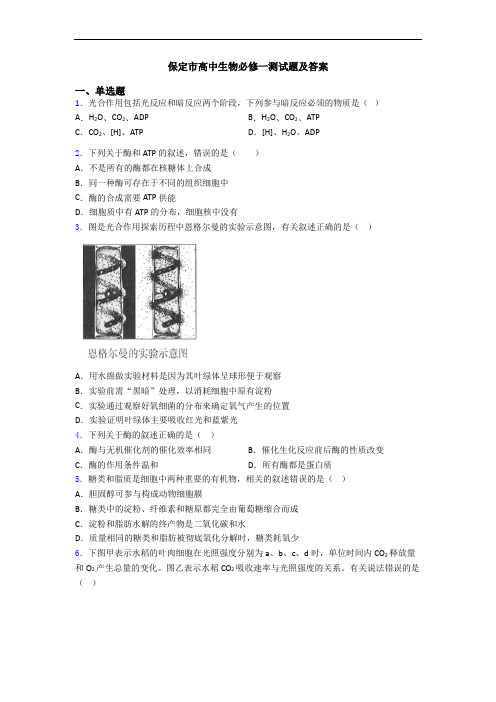 保定市高中生物必修一测试题及答案