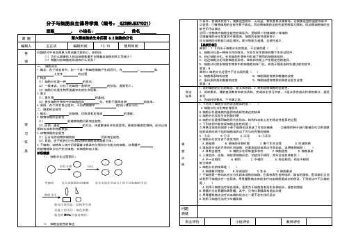 细胞的分化导学案