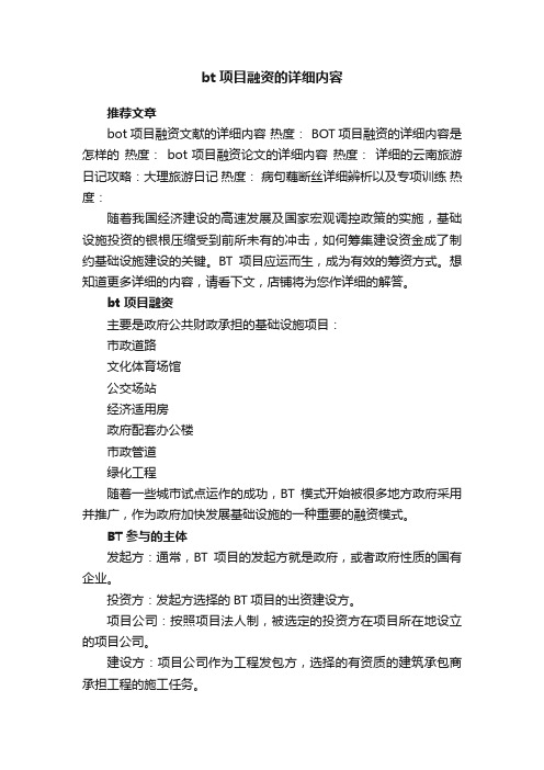 bt项目融资的详细内容