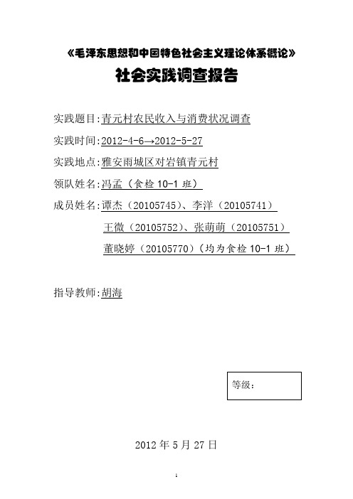 毛概 居民家庭消费状况调查总结报告