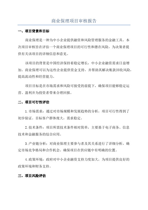 商业保理项目审核报告