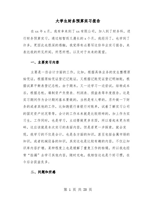 大学生财务预算实习报告（四篇）