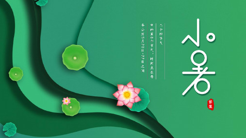 绿色清新卡通风小暑节气介绍PPT课件