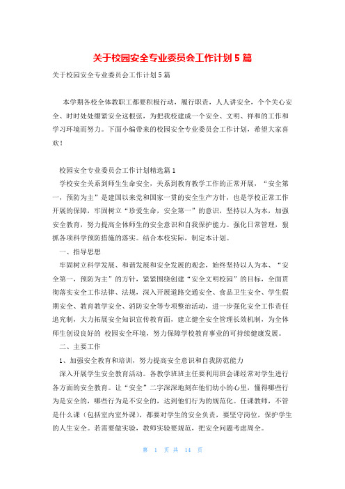 关于校园安全专业委员会工作计划5篇