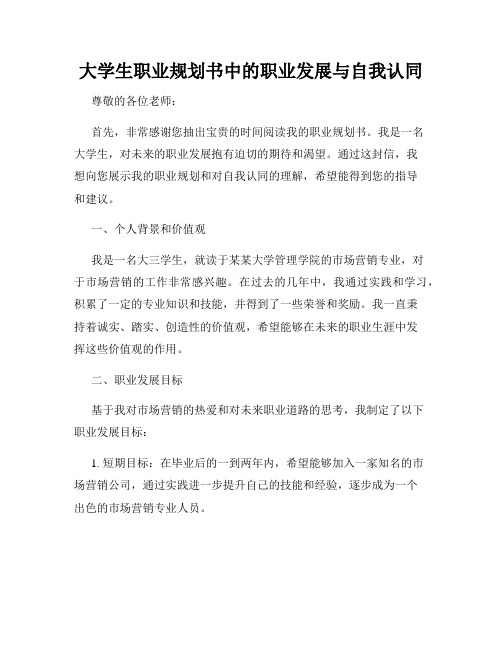 大学生职业规划书中的职业发展与自我认同