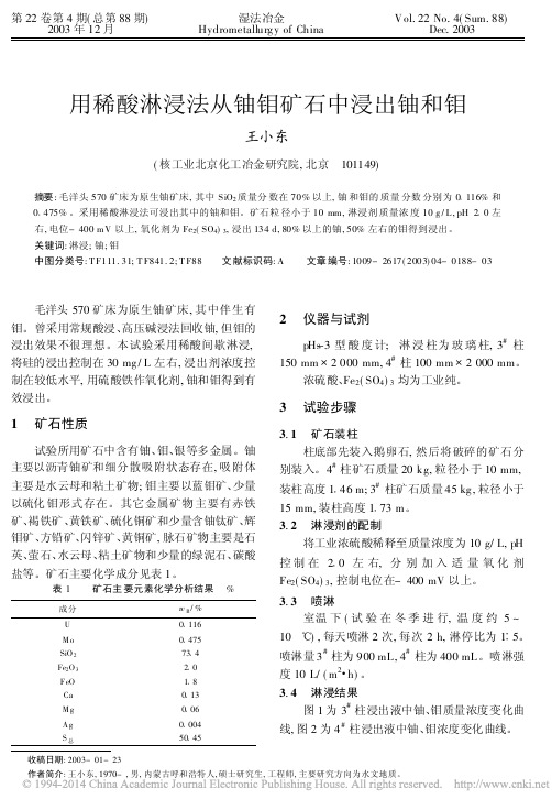 用稀酸淋浸法从铀钼矿石中浸出铀和钼_王小东