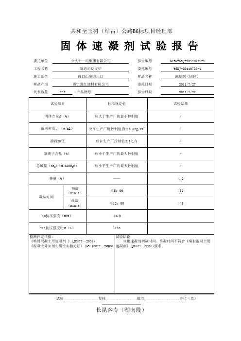 速凝剂检验报告