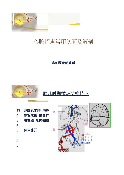 心脏超声常用切面及解剖.