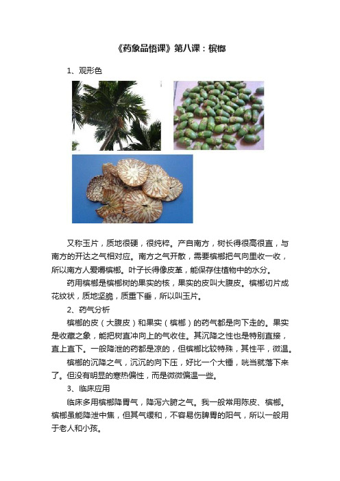 《药象品悟课》第八课：槟榔