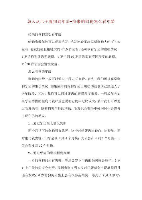 怎么从爪子看狗狗年龄-捡来的狗狗怎么看年龄