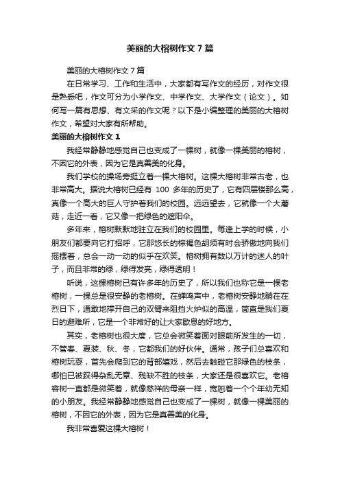 美丽的大榕树作文7篇