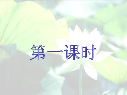 人教版语文三年级下册3.课荷花课件ppt