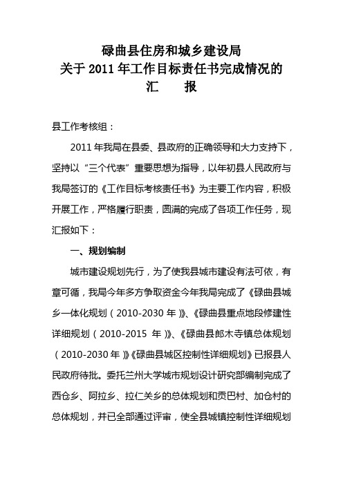 2011年工作总结汇报材料