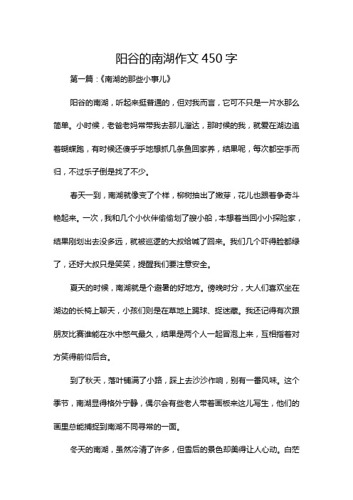 阳谷的南湖作文450字