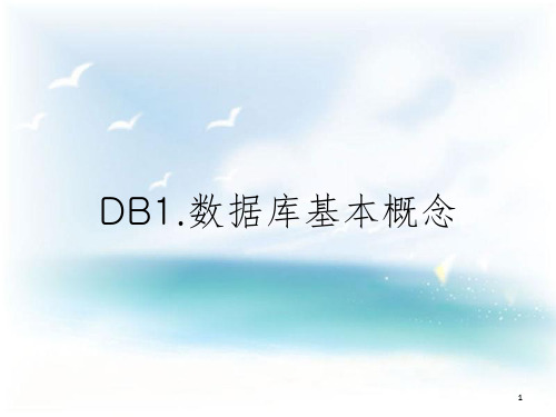 DB1.数据库基本概念