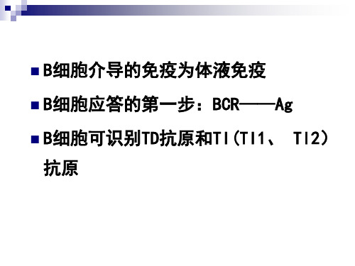 淋巴细胞对抗原的识别及应答