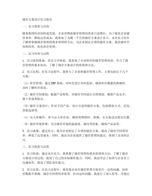 储存方案设计实习报告