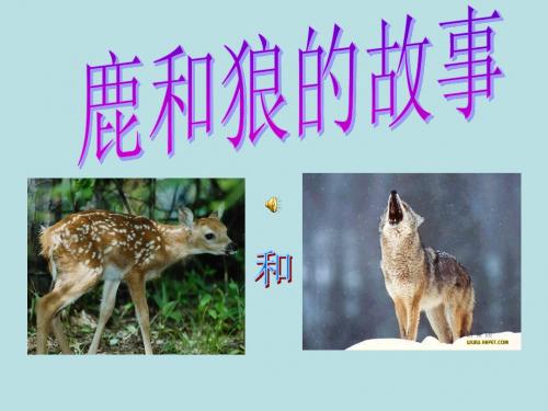 14鹿和狼的故事
