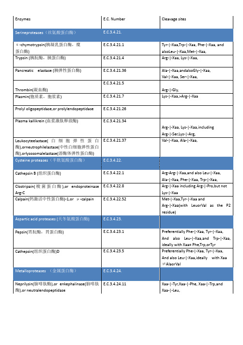 蛋白酶切位点