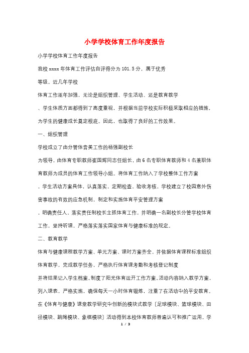 小学学校体育工作年度报告