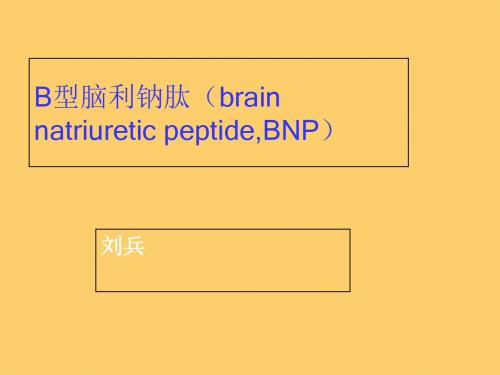 B型脑钠肽-22页PPT资料