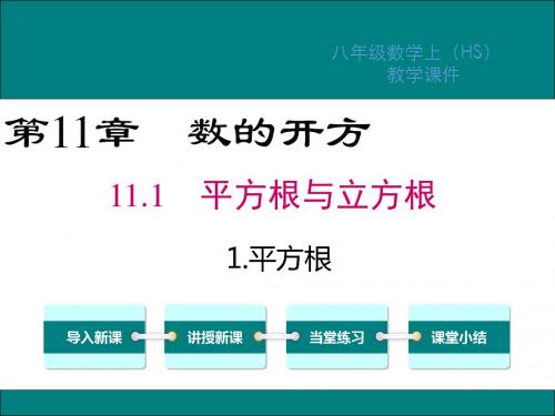 华师大版八年级数学上册第11章数的开方PPT教学课件