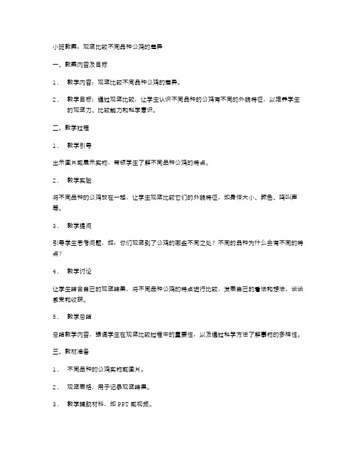 小班教案：观察比较不同品种公鸡的差异