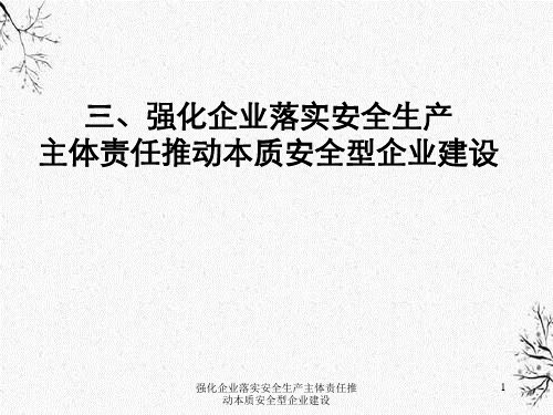 强化企业落实安全生产主体责任推动本质安全型企业建设