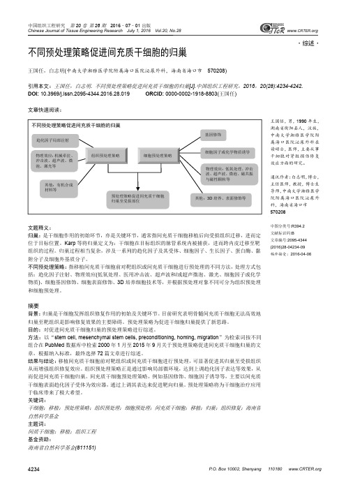 不同预处理策略促进间充质干细胞的归巢
