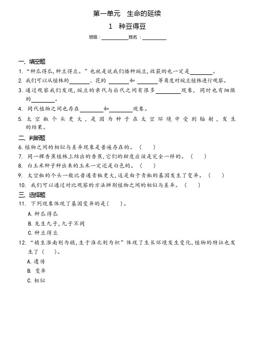 冀人版六年级科学上册 1 种豆得豆(同步练习)(含答案)