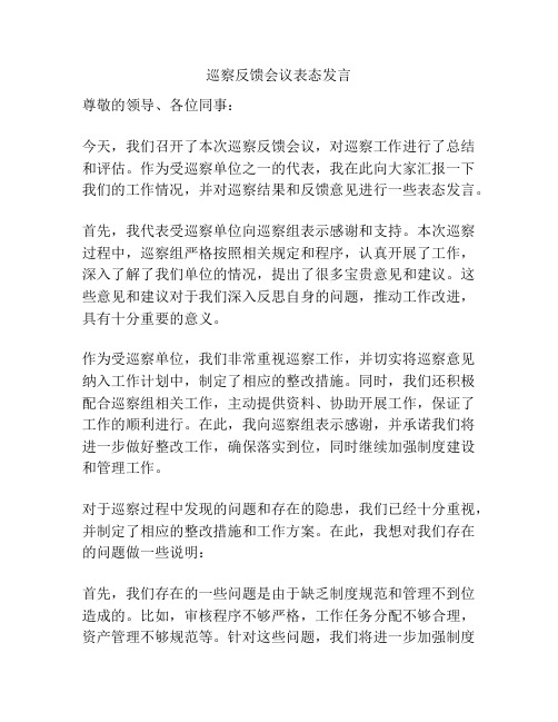 巡察反馈会议表态发言