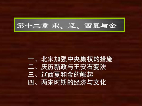 第十二章第二讲 庆历新政与王安石变法