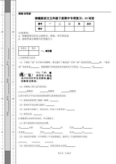 部编版语文五年级下册期中专项复习：03 词语