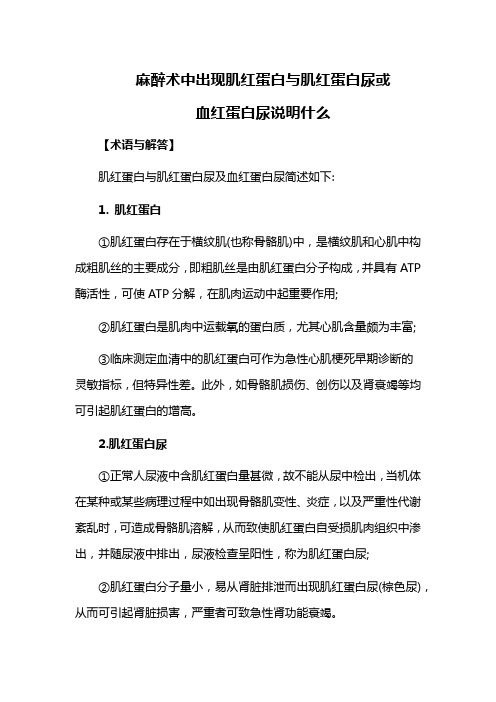 麻醉术中出现肌红蛋白与肌红蛋白尿或血红蛋白尿说明什么