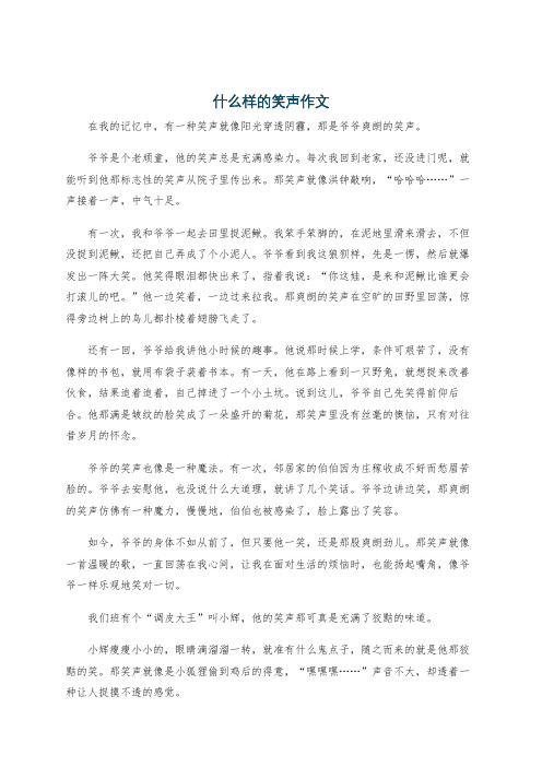 什么样的笑声作文