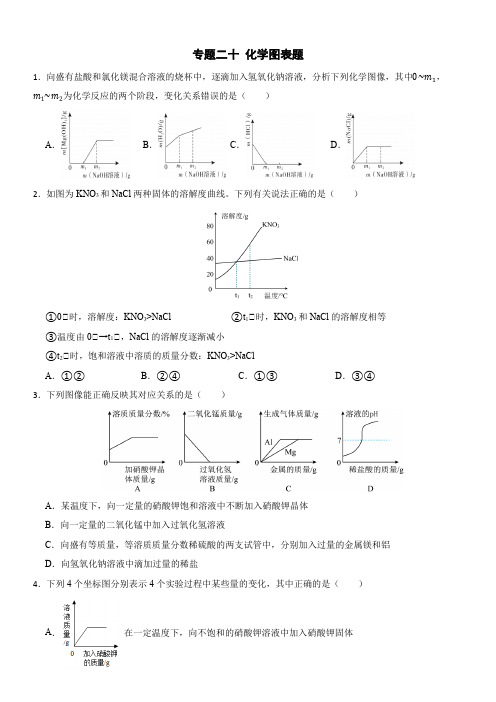 2024年高考二轮专题复习《专题二十 化学图表题》